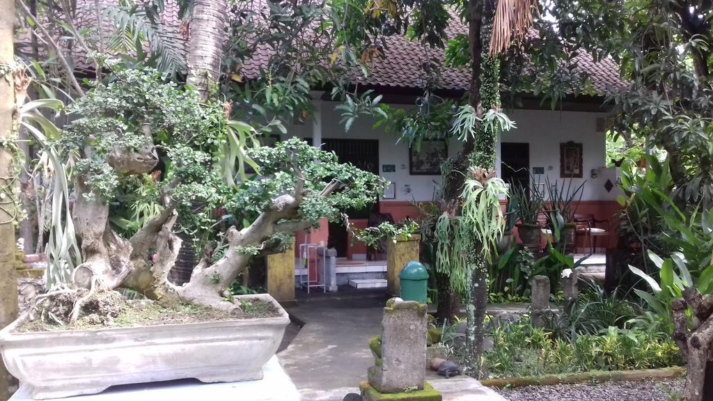 Tjana Homestay Sanur  Exterior photo